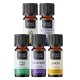 „Gentle Skin Care Set from Bio Essential oils