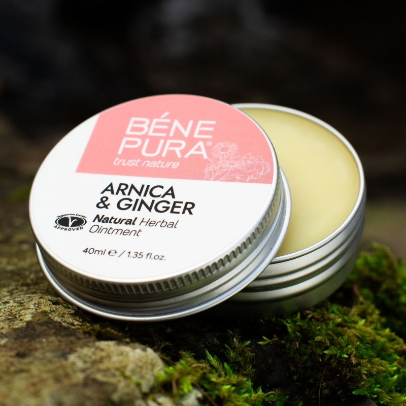 Ointment for Bruising with Arnica and Ginger - 40ml - All products