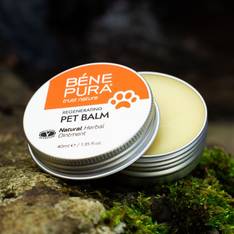 Regenerating Dog Paw balm with Calendula - 40ml - All products