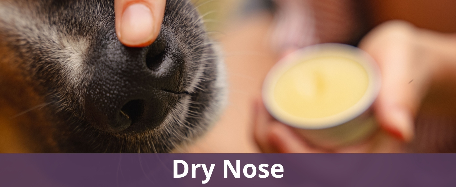 Dry nose