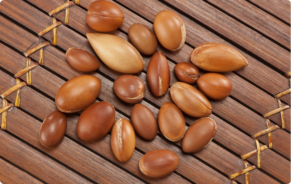 What does Argan Carrier oil help with?