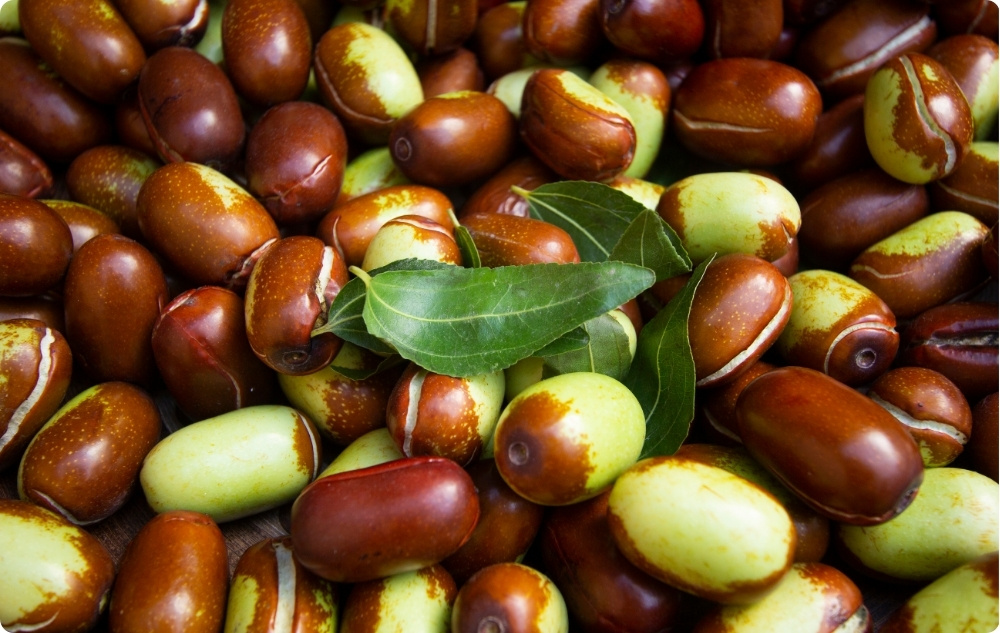 What does Jojoba Carrier oil help with?