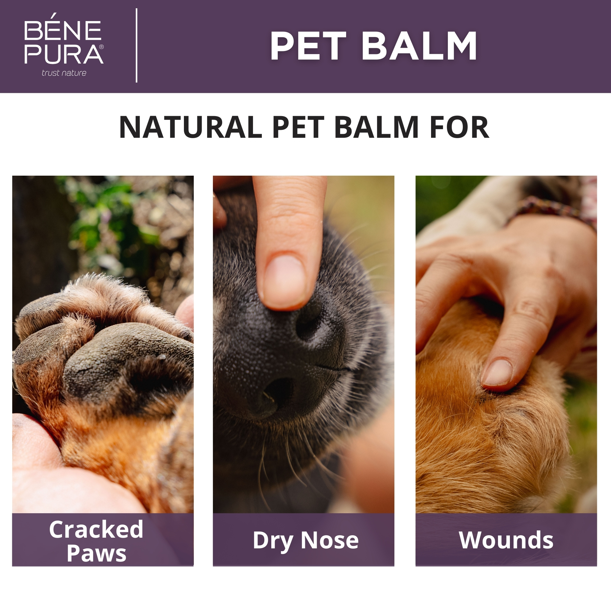 "Ointments for Pets" Set